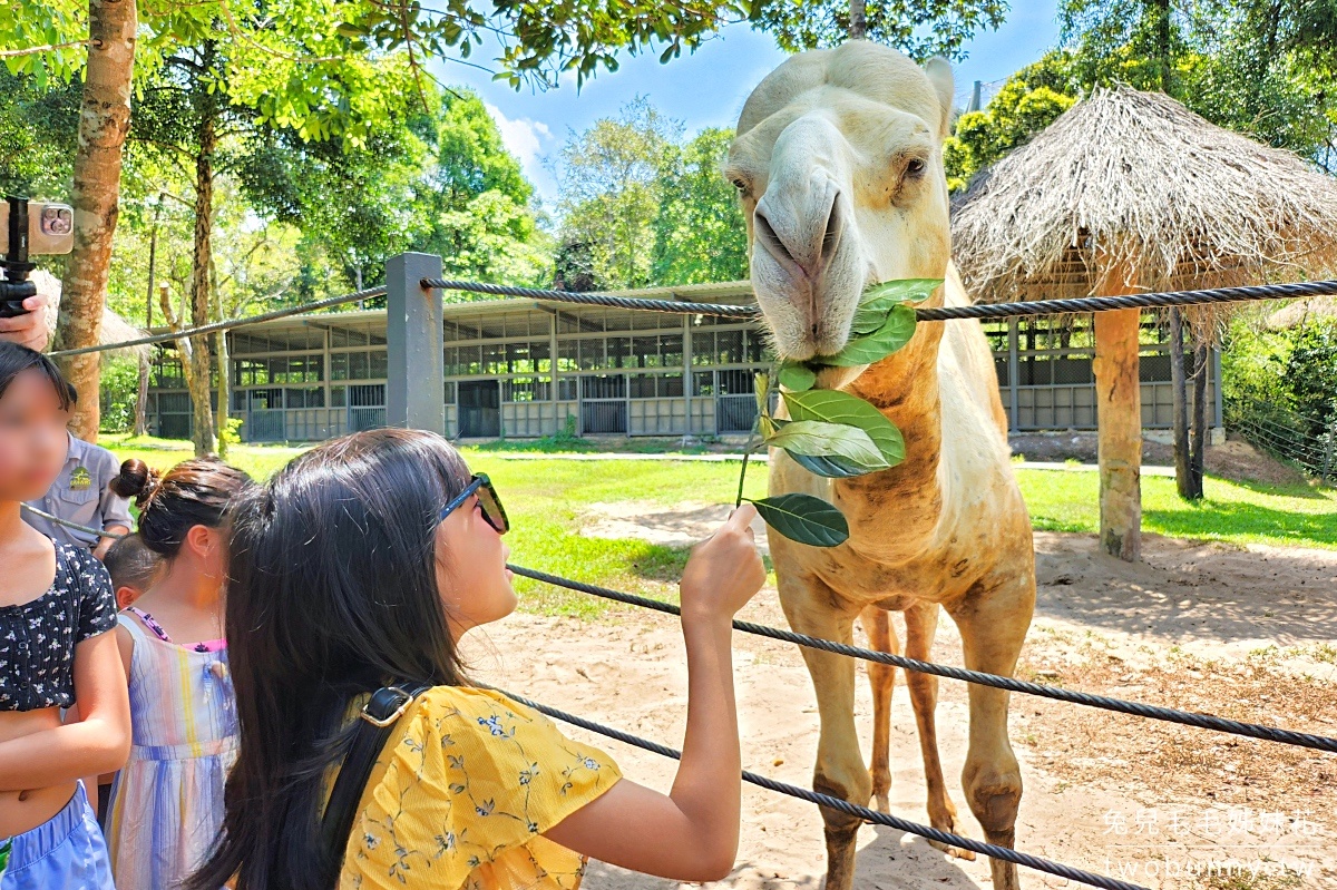 【富國島珍珠野生動物園 Vinpearl Safari Phu Quoc】門票、遊園車、餵食體驗全攻略 @兔兒毛毛姊妹花 【富國島珍珠野生動物園 Vinpearl Safari Phu Quoc】門票、遊園車、餵食體驗全攻略 @兔兒毛毛姊妹花