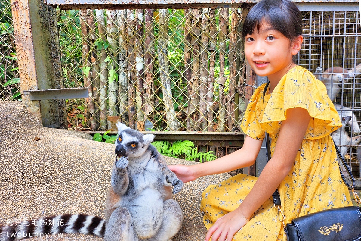 【富國島珍珠野生動物園 Vinpearl Safari Phu Quoc】門票、遊園車、餵食體驗全攻略 @兔兒毛毛姊妹花 【富國島珍珠野生動物園 Vinpearl Safari Phu Quoc】門票、遊園車、餵食體驗全攻略 @兔兒毛毛姊妹花