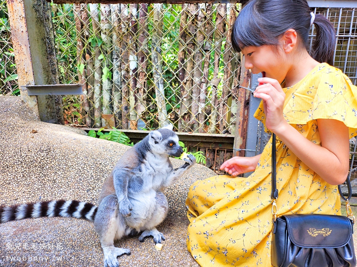【富國島珍珠野生動物園 Vinpearl Safari Phu Quoc】門票、遊園車、餵食體驗全攻略 @兔兒毛毛姊妹花 【富國島珍珠野生動物園 Vinpearl Safari Phu Quoc】門票、遊園車、餵食體驗全攻略 @兔兒毛毛姊妹花