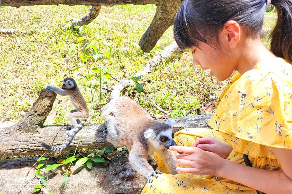 【富國島珍珠野生動物園 Vinpearl Safari Phu Quoc】門票、遊園車、餵食體驗全攻略 @兔兒毛毛姊妹花 【富國島珍珠野生動物園 Vinpearl Safari Phu Quoc】門票、遊園車、餵食體驗全攻略 @兔兒毛毛姊妹花
