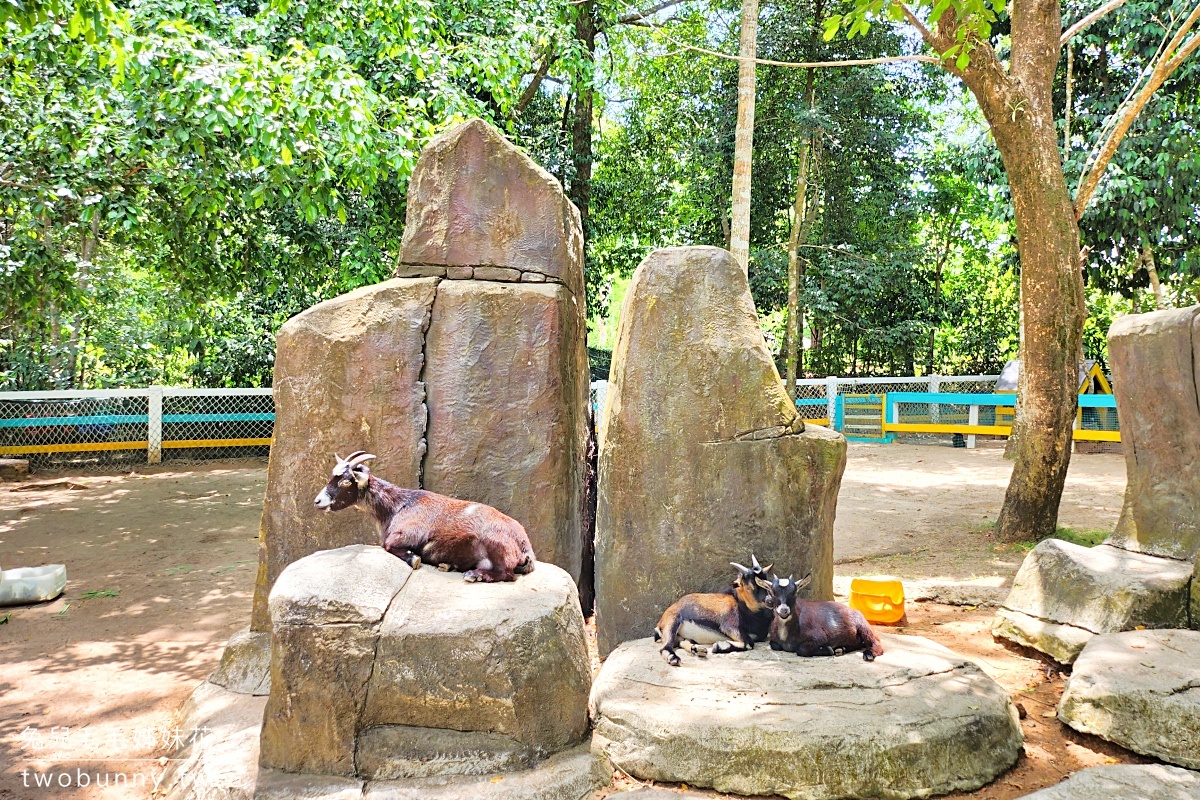 【富國島珍珠野生動物園 Vinpearl Safari Phu Quoc】門票、遊園車、餵食體驗全攻略 @兔兒毛毛姊妹花 【富國島珍珠野生動物園 Vinpearl Safari Phu Quoc】門票、遊園車、餵食體驗全攻略 @兔兒毛毛姊妹花