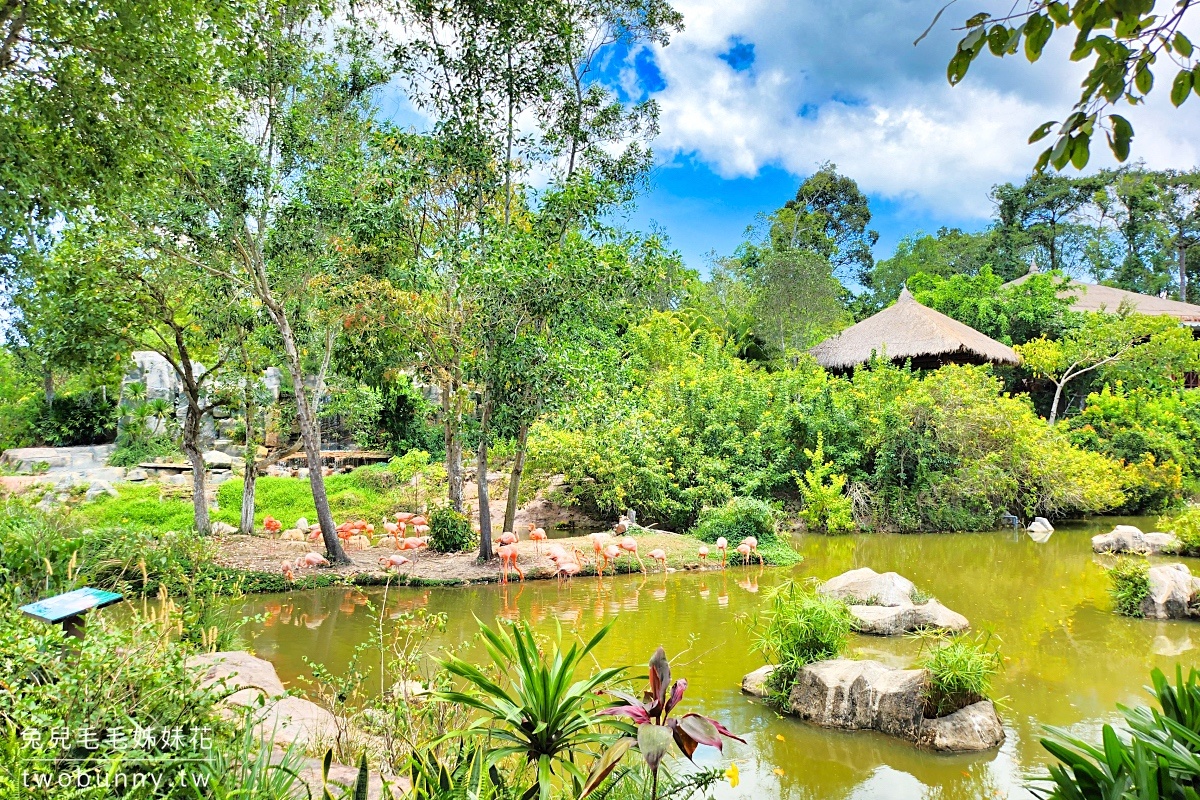 【富國島珍珠野生動物園 Vinpearl Safari Phu Quoc】門票、遊園車、餵食體驗全攻略 @兔兒毛毛姊妹花 【富國島珍珠野生動物園 Vinpearl Safari Phu Quoc】門票、遊園車、餵食體驗全攻略 @兔兒毛毛姊妹花