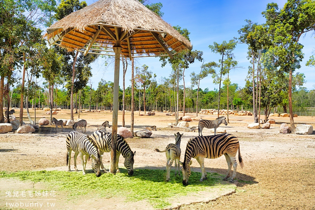 【富國島珍珠野生動物園 Vinpearl Safari Phu Quoc】門票、遊園車、餵食體驗全攻略 @兔兒毛毛姊妹花 【富國島珍珠野生動物園 Vinpearl Safari Phu Quoc】門票、遊園車、餵食體驗全攻略 @兔兒毛毛姊妹花