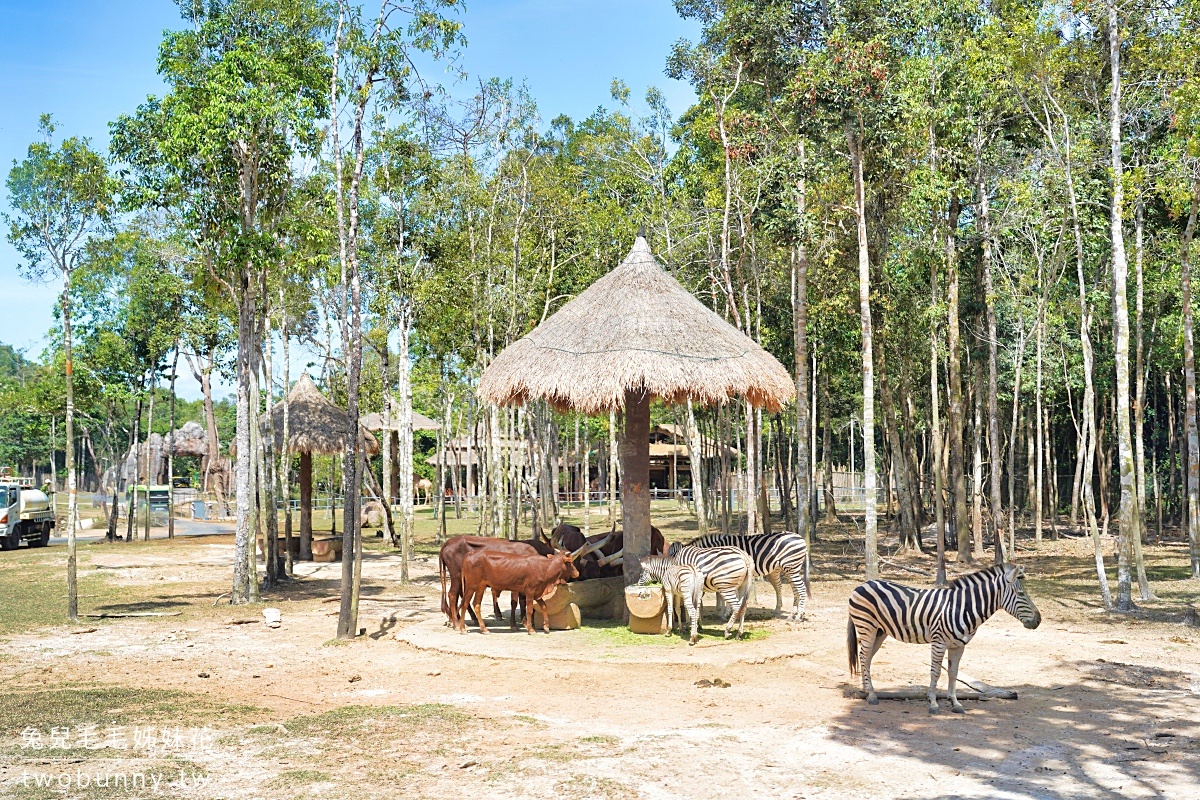 【富國島珍珠野生動物園 Vinpearl Safari Phu Quoc】門票、遊園車、餵食體驗全攻略 @兔兒毛毛姊妹花 【富國島珍珠野生動物園 Vinpearl Safari Phu Quoc】門票、遊園車、餵食體驗全攻略 @兔兒毛毛姊妹花