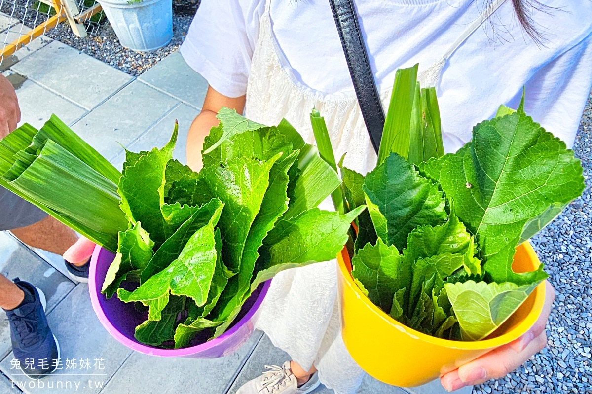【星夢森林劇場】宜蘭親子景點推薦|餵水豚、梅花鹿、草泥馬,一票玩兩園區、戲水區免費玩 @兔兒毛毛姊妹花 【星夢森林劇場】宜蘭親子景點推薦|餵水豚、梅花鹿、草泥馬,一票玩兩園區、戲水區免費玩 @兔兒毛毛姊妹花