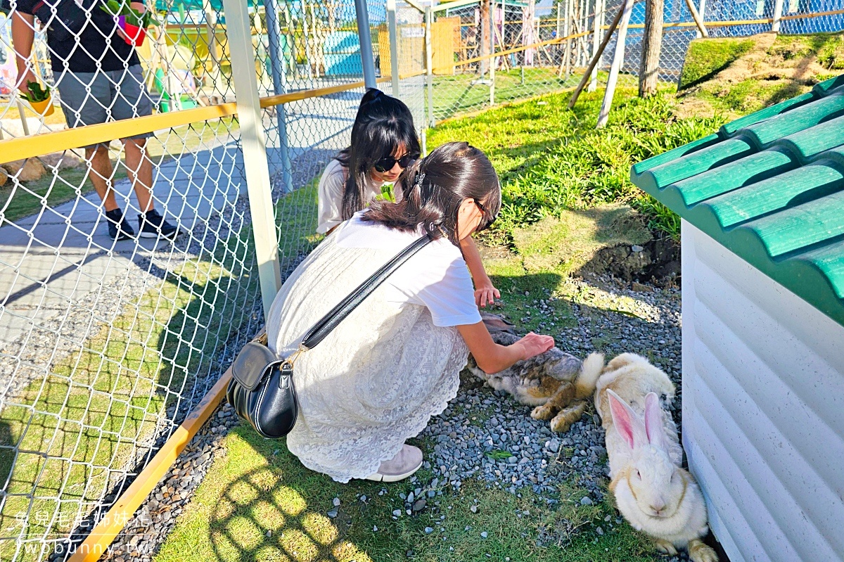 【星夢森林劇場】宜蘭親子景點推薦|餵水豚、梅花鹿、草泥馬,一票玩兩園區、戲水區免費玩 @兔兒毛毛姊妹花 【星夢森林劇場】宜蘭親子景點推薦|餵水豚、梅花鹿、草泥馬,一票玩兩園區、戲水區免費玩 @兔兒毛毛姊妹花