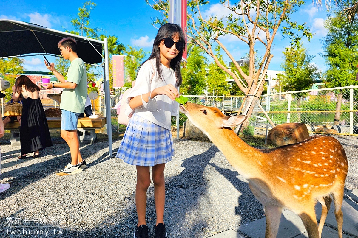 【星夢森林劇場】宜蘭親子景點推薦|餵水豚、梅花鹿、草泥馬,一票玩兩園區、戲水區免費玩 @兔兒毛毛姊妹花 【星夢森林劇場】宜蘭親子景點推薦|餵水豚、梅花鹿、草泥馬,一票玩兩園區、戲水區免費玩 @兔兒毛毛姊妹花