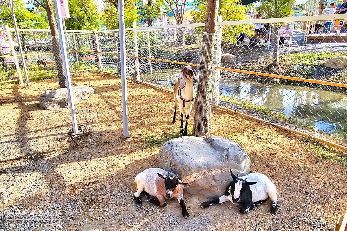 【星夢森林劇場】宜蘭親子景點推薦|餵水豚、梅花鹿、草泥馬,一票玩兩園區、戲水區免費玩 @兔兒毛毛姊妹花 【星夢森林劇場】宜蘭親子景點推薦|餵水豚、梅花鹿、草泥馬,一票玩兩園區、戲水區免費玩 @兔兒毛毛姊妹花