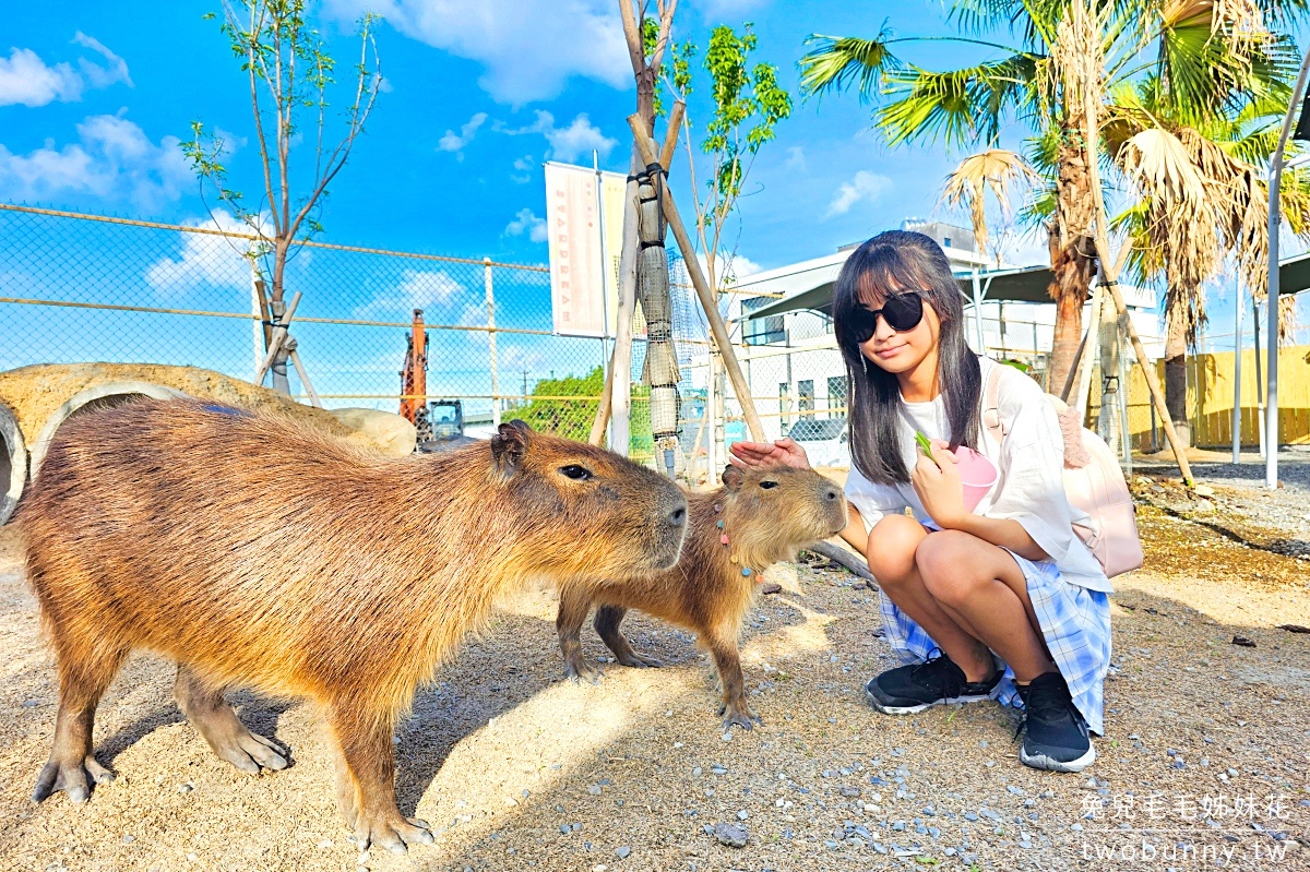 【星夢森林劇場】宜蘭親子景點推薦|餵水豚、梅花鹿、草泥馬,一票玩兩園區、戲水區免費玩 @兔兒毛毛姊妹花 【星夢森林劇場】宜蘭親子景點推薦|餵水豚、梅花鹿、草泥馬,一票玩兩園區、戲水區免費玩 @兔兒毛毛姊妹花