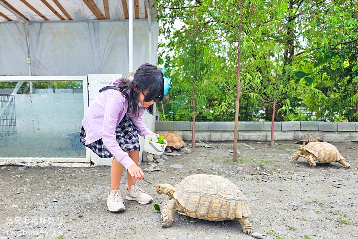 慢吞吞農場｜宜蘭冬山動物農場～象龜、浣熊、柯爾鴨、垂耳兔都可以餵食 @兔兒毛毛姊妹花