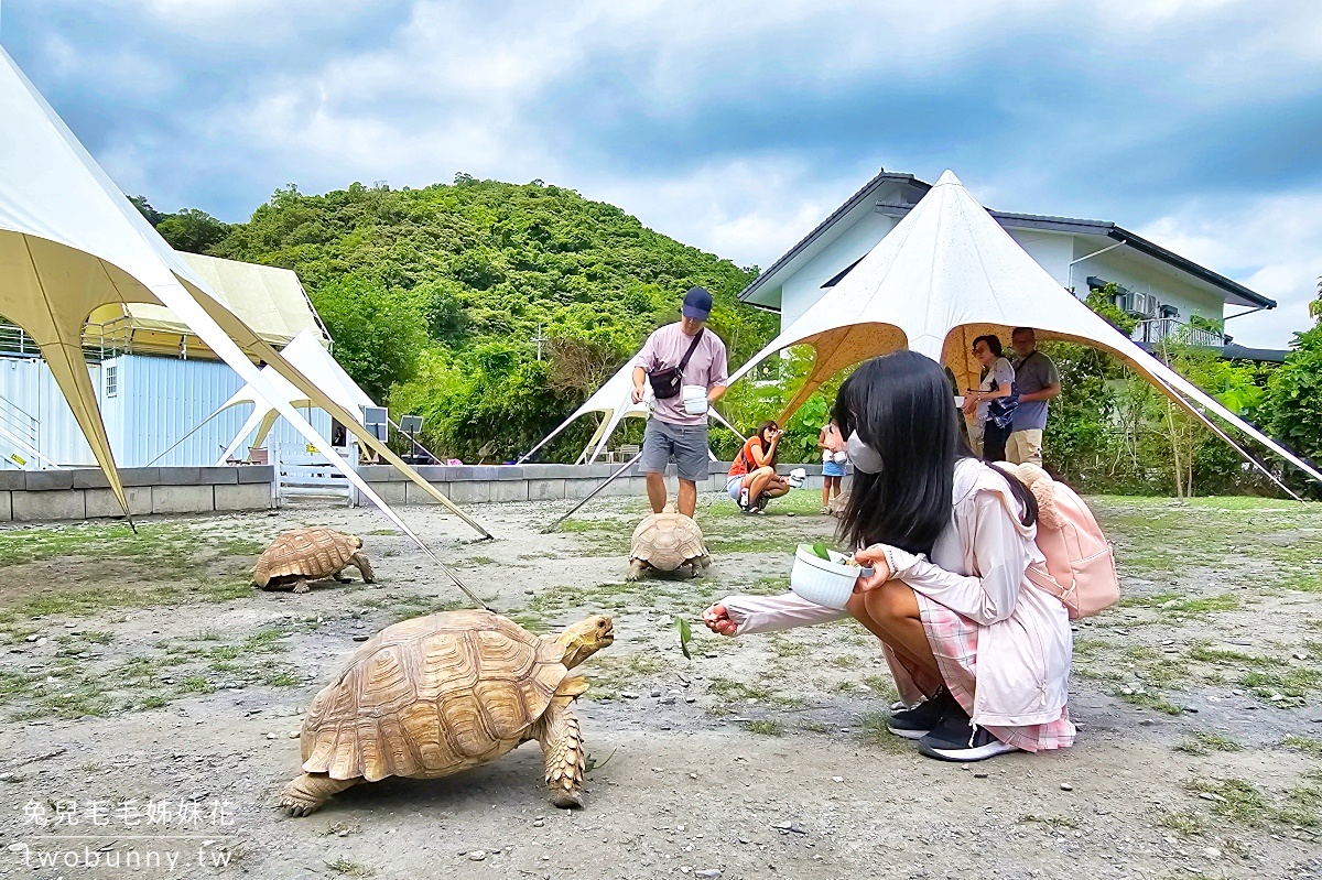 慢吞吞農場｜宜蘭冬山動物農場～象龜、浣熊、柯爾鴨、垂耳兔都可以餵食 @兔兒毛毛姊妹花