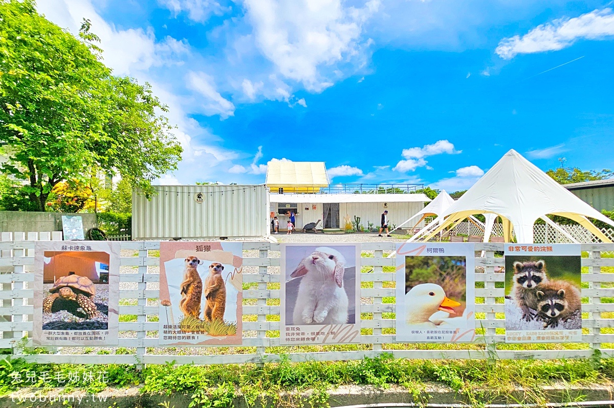 慢吞吞農場｜宜蘭冬山動物農場～象龜、浣熊、柯爾鴨、垂耳兔都可以餵食 @兔兒毛毛姊妹花