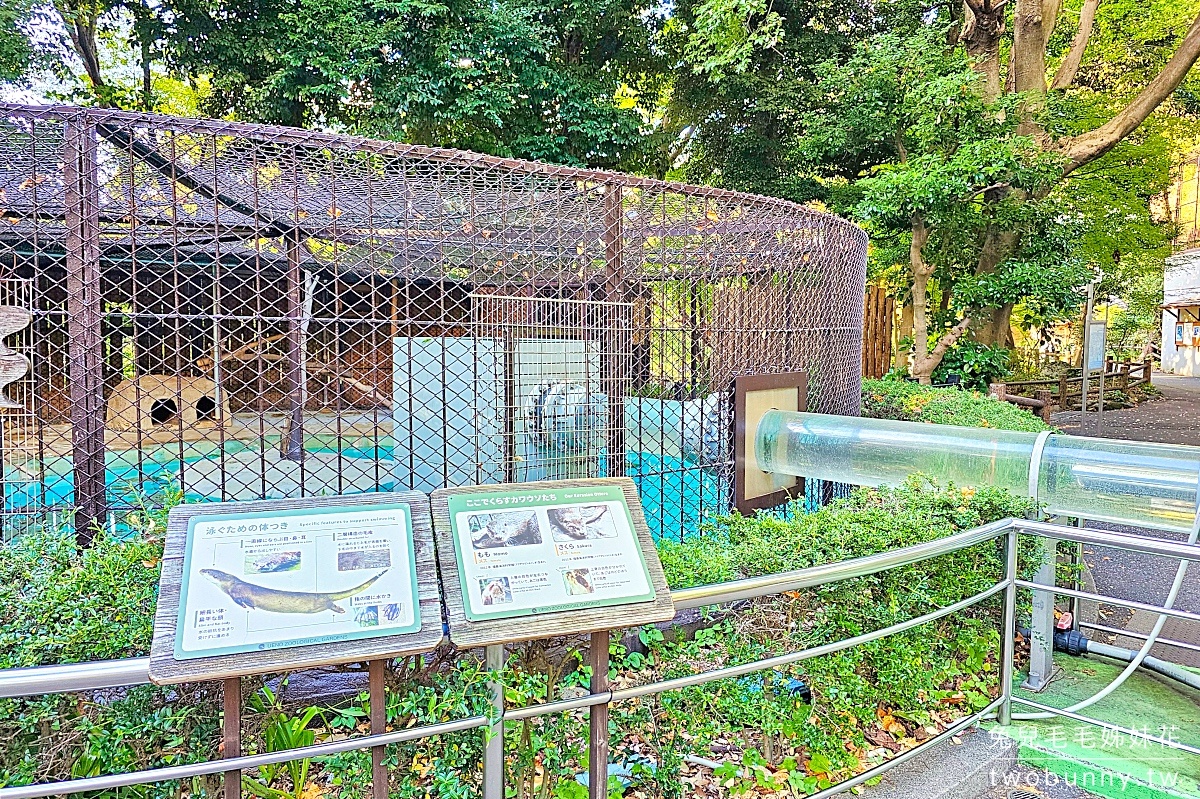【上野動物園】東京必訪動物園｜門票、交通、北極熊、鯨頭鸛完整攻略 @兔兒毛毛姊妹花