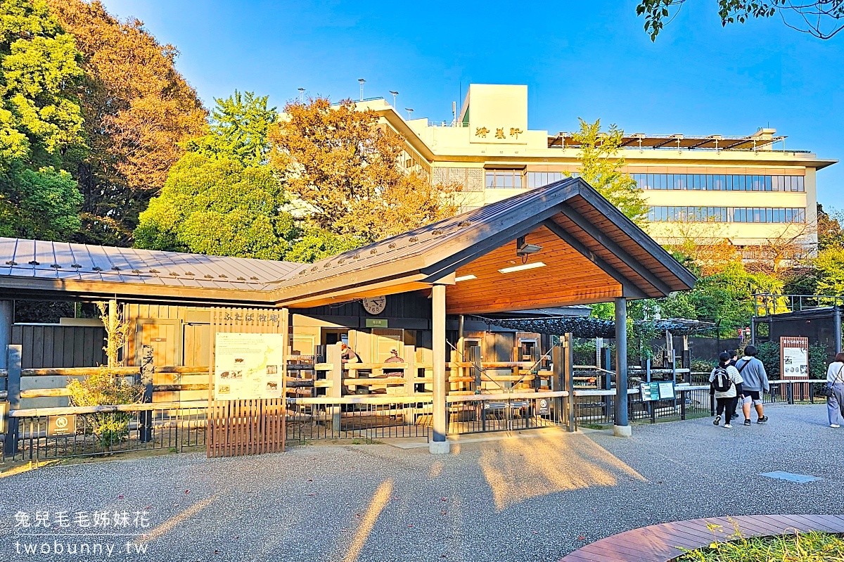 【上野動物園】東京必訪動物園｜門票、交通、北極熊、鯨頭鸛完整攻略 @兔兒毛毛姊妹花
