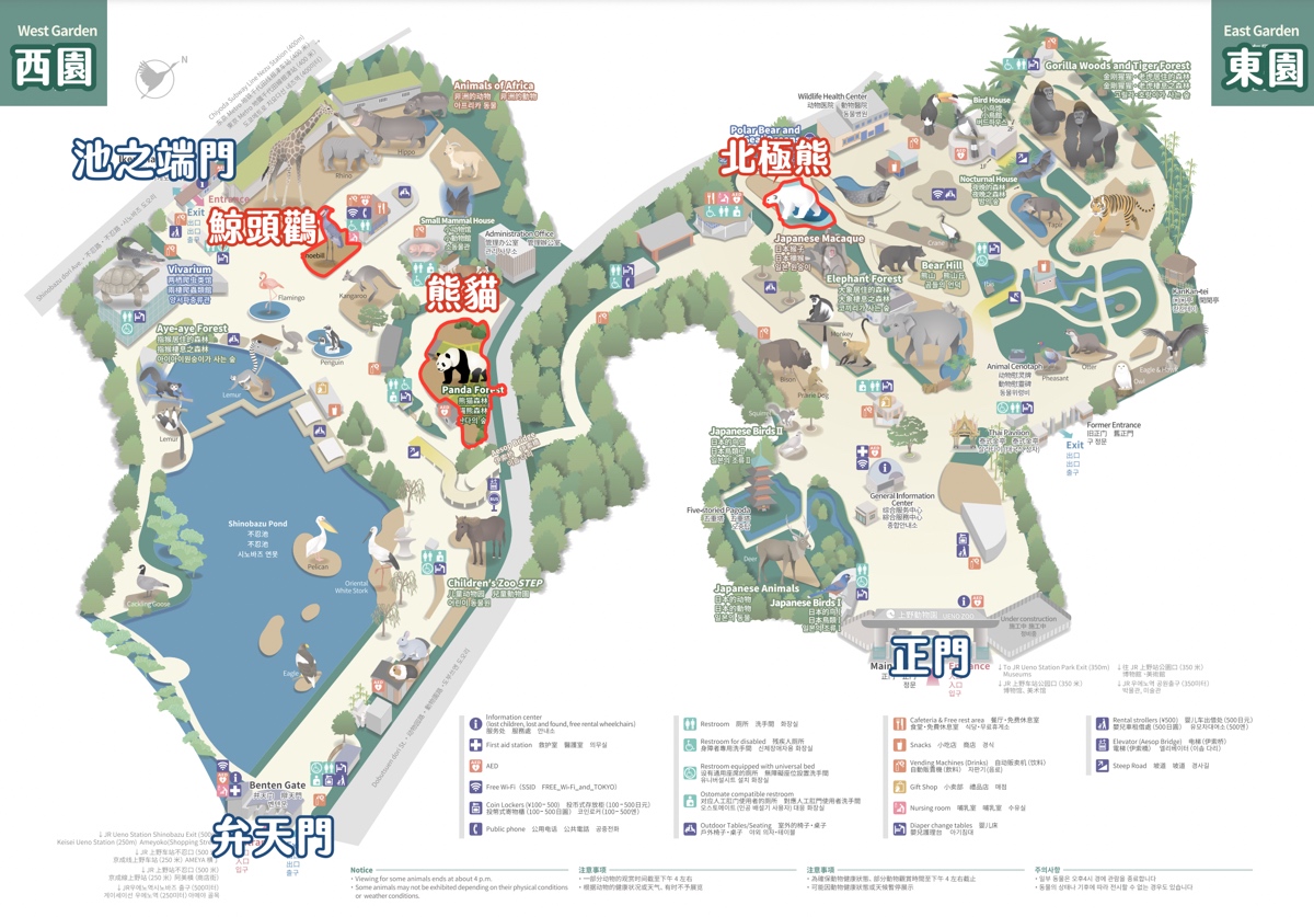 【上野動物園】東京必訪動物園｜門票、交通、北極熊、鯨頭鸛完整攻略 @兔兒毛毛姊妹花