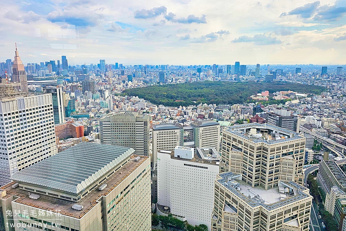 【2026東京夜景】10個必訪東京觀景台推薦:麻布台之丘、SHIBUYA SKY預約、免費展望台全攻略! @兔兒毛毛姊妹花