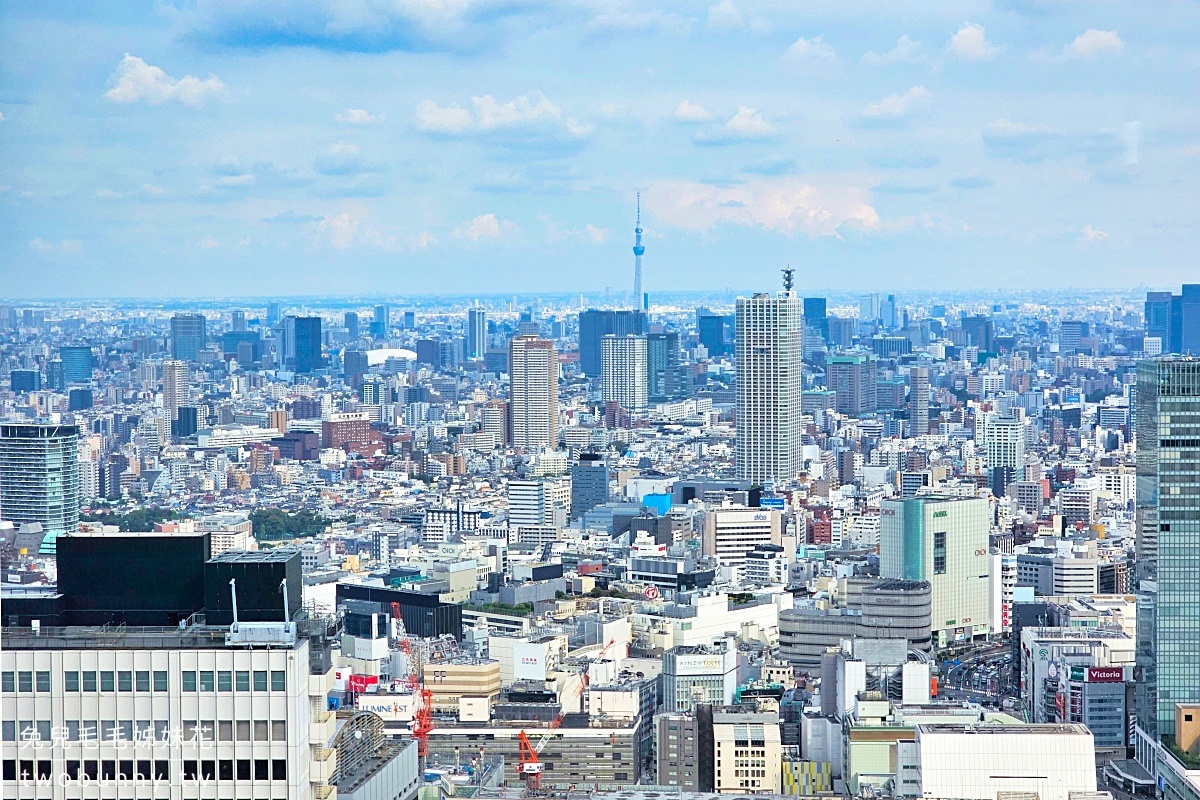 【2026東京夜景】10個必訪東京觀景台推薦:麻布台之丘、SHIBUYA SKY預約、免費展望台全攻略! @兔兒毛毛姊妹花