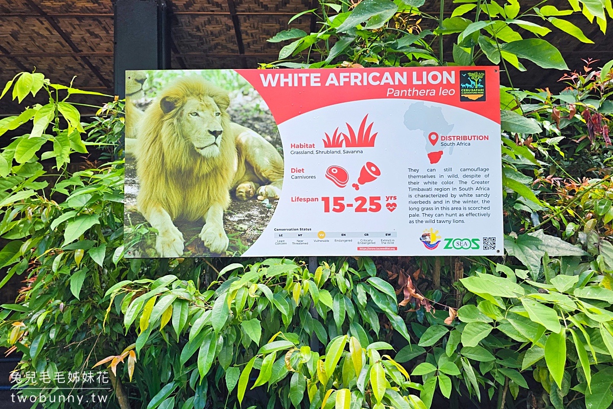 【宿霧野生動物園】Cebu Safari and Adventure Park攻略｜菲律賓最大動物園、門票交通、必玩設施 @兔兒毛毛姊妹花