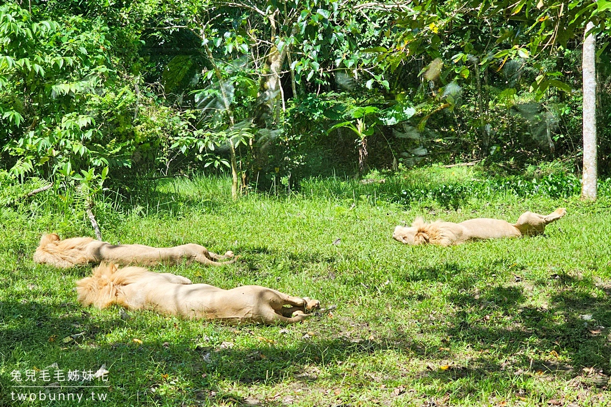【宿霧野生動物園】Cebu Safari and Adventure Park攻略｜菲律賓最大動物園、門票交通、必玩設施 @兔兒毛毛姊妹花
