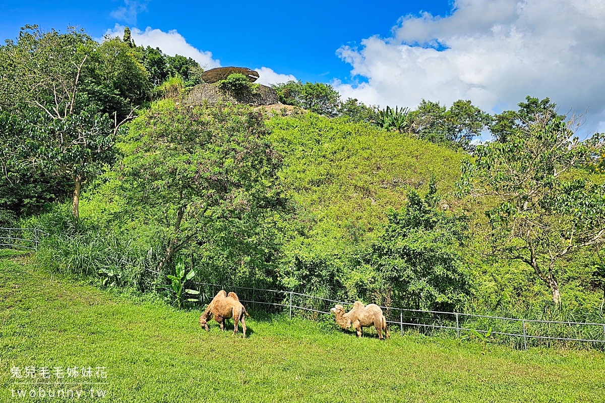 【宿霧野生動物園】Cebu Safari and Adventure Park攻略｜菲律賓最大動物園、門票交通、必玩設施 @兔兒毛毛姊妹花