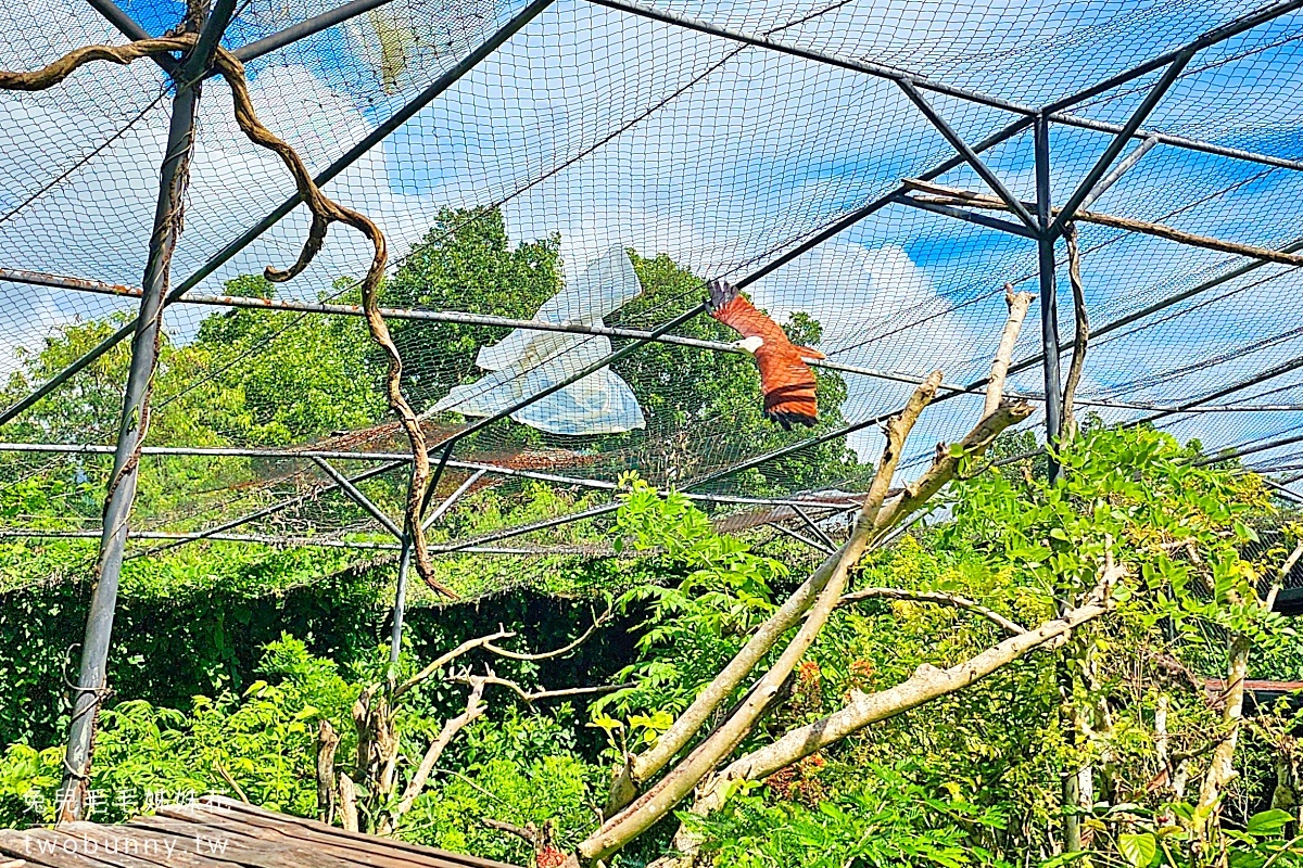 【宿霧野生動物園】Cebu Safari and Adventure Park攻略｜菲律賓最大動物園、門票交通、必玩設施 @兔兒毛毛姊妹花