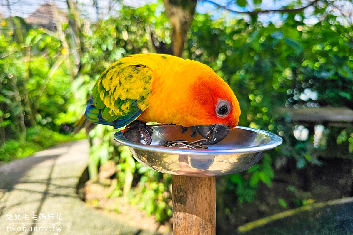 【宿霧野生動物園】Cebu Safari and Adventure Park攻略｜菲律賓最大動物園、門票交通、必玩設施 @兔兒毛毛姊妹花