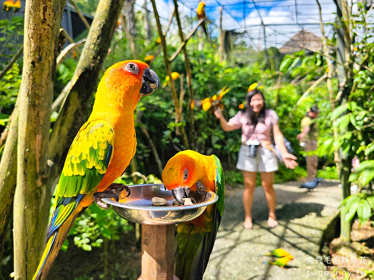 【宿霧野生動物園】Cebu Safari and Adventure Park攻略｜菲律賓最大動物園、門票交通、必玩設施 @兔兒毛毛姊妹花