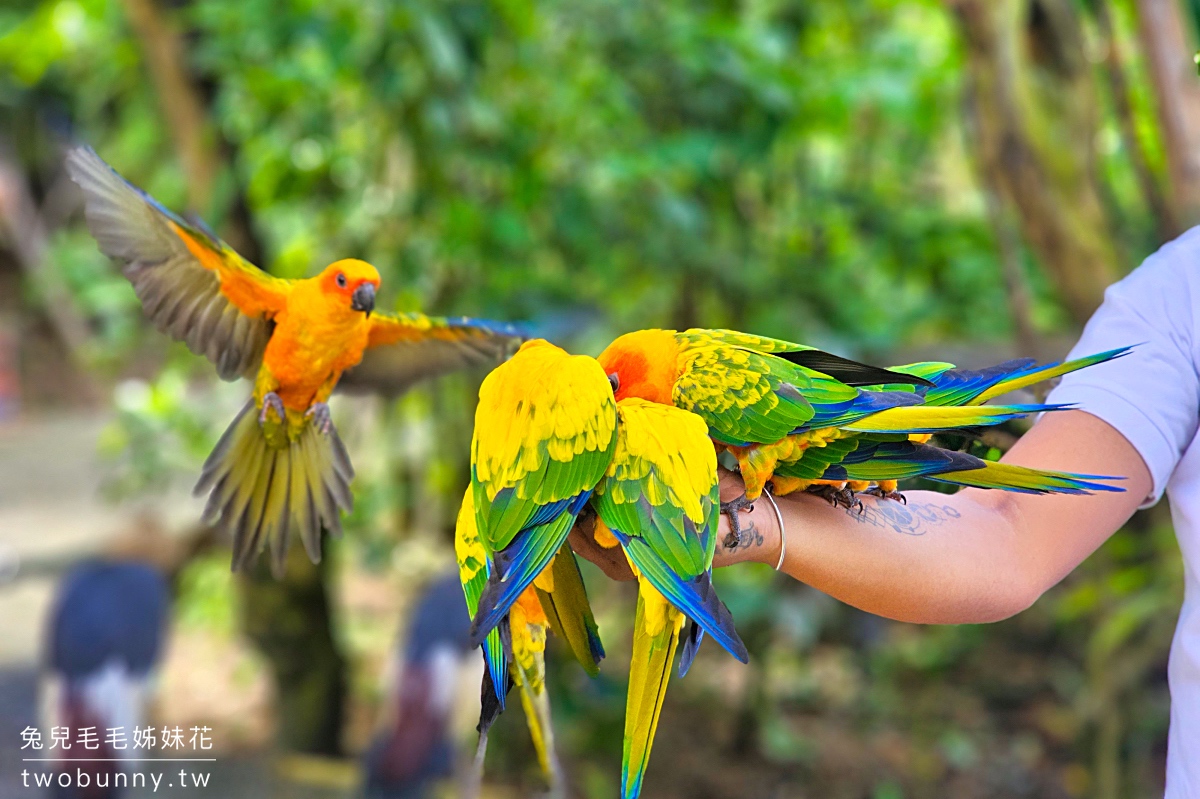【宿霧野生動物園】Cebu Safari and Adventure Park攻略｜菲律賓最大動物園、門票交通、必玩設施 @兔兒毛毛姊妹花