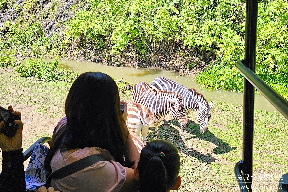 【宿霧野生動物園】Cebu Safari and Adventure Park攻略｜菲律賓最大動物園、門票交通、必玩設施 @兔兒毛毛姊妹花