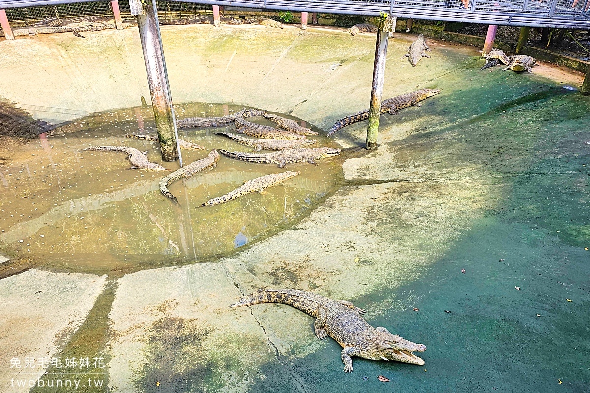 【宿霧野生動物園】Cebu Safari and Adventure Park攻略｜菲律賓最大動物園、門票交通、必玩設施 @兔兒毛毛姊妹花
