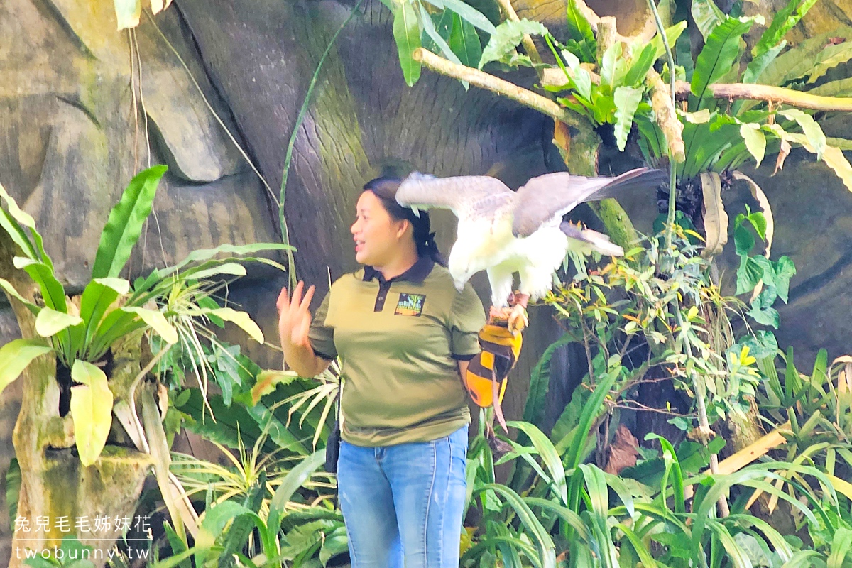 【宿霧野生動物園】Cebu Safari and Adventure Park攻略｜菲律賓最大動物園、門票交通、必玩設施 @兔兒毛毛姊妹花