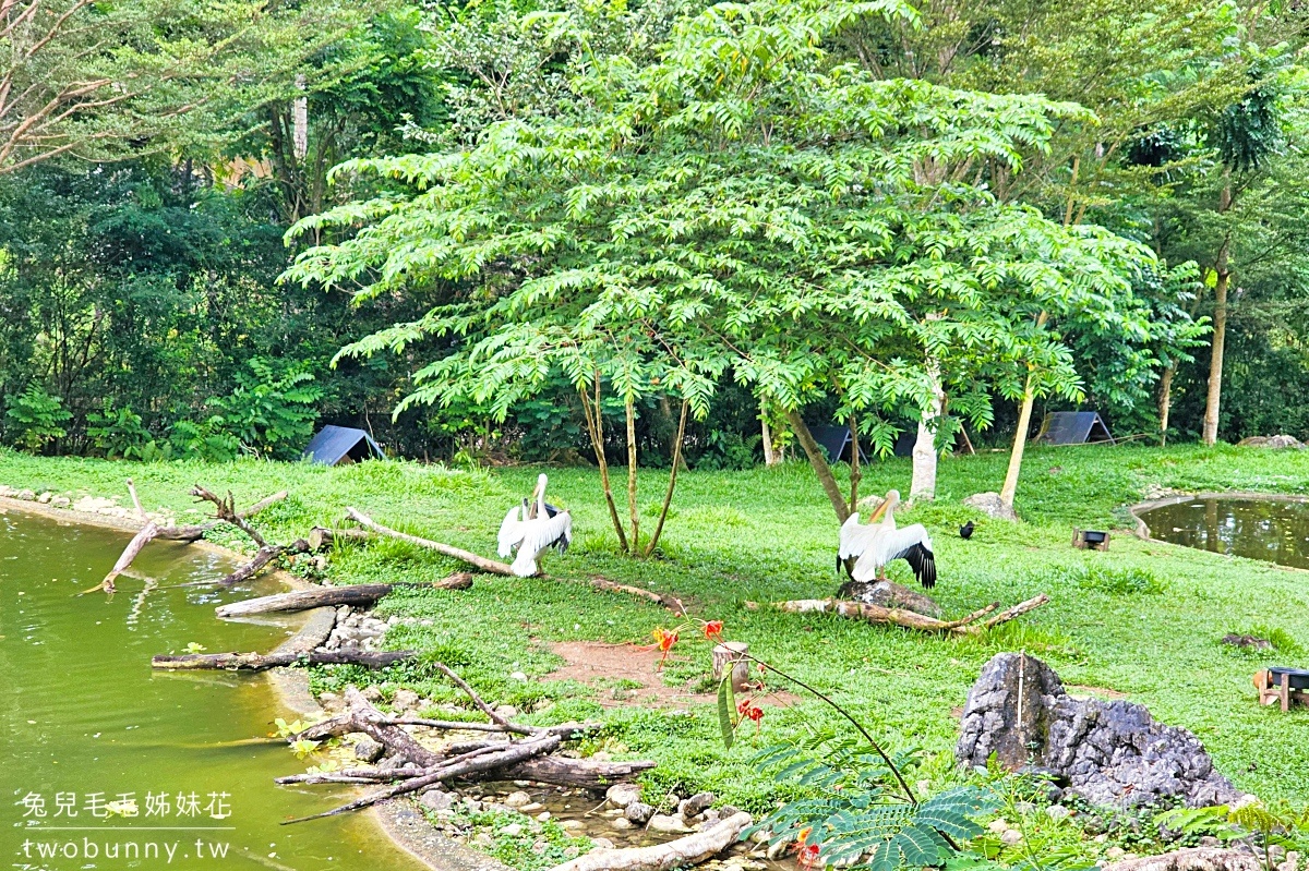 【宿霧野生動物園】Cebu Safari and Adventure Park攻略｜菲律賓最大動物園、門票交通、必玩設施 @兔兒毛毛姊妹花