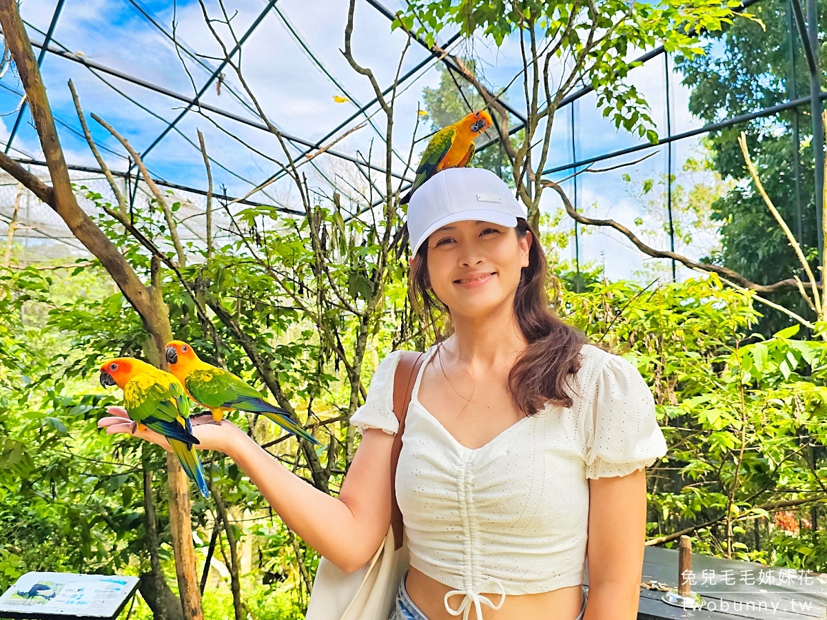 【宿霧野生動物園】Cebu Safari and Adventure Park攻略｜菲律賓最大動物園、門票交通、必玩設施 @兔兒毛毛姊妹花