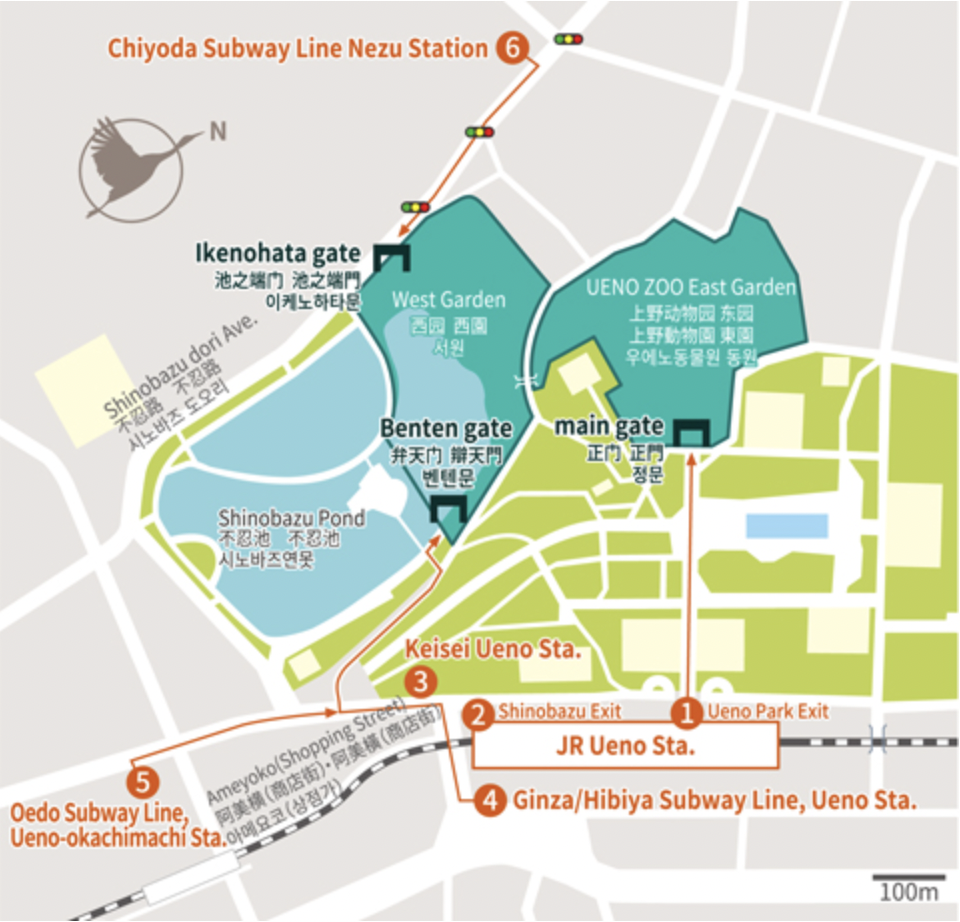 【上野動物園】東京必訪動物園｜門票、交通、北極熊、鯨頭鸛完整攻略 @兔兒毛毛姊妹花