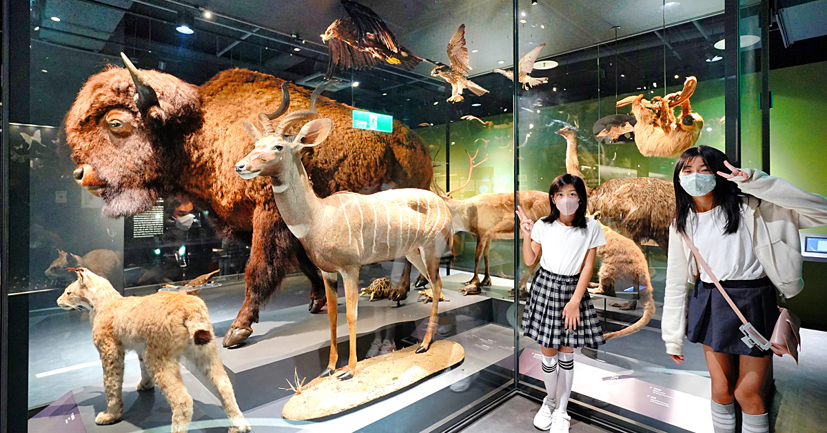 2026年10月09日| 親子旅行 | 熱搜文章導讀:桃園親子攻略、高雄半室內樂園、台南十鼓魔法園區、苗栗景點與雪霸汶水遊客中心。 @Blogimove Ranking
