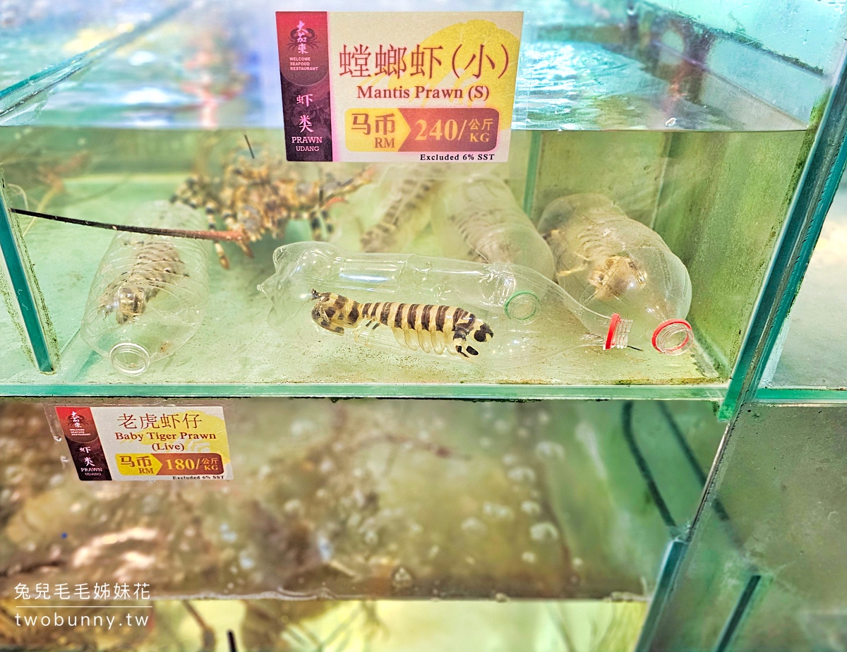 沙巴美食【大茄來海鮮餐廳】每天晚上席開百桌超狂海鮮餐廳,巨無霸老虎蝦必點 @兔兒毛毛姊妹花 沙巴美食【大茄來海鮮餐廳】每天晚上席開百桌超狂海鮮餐廳,巨無霸老虎蝦必點 @兔兒毛毛姊妹花