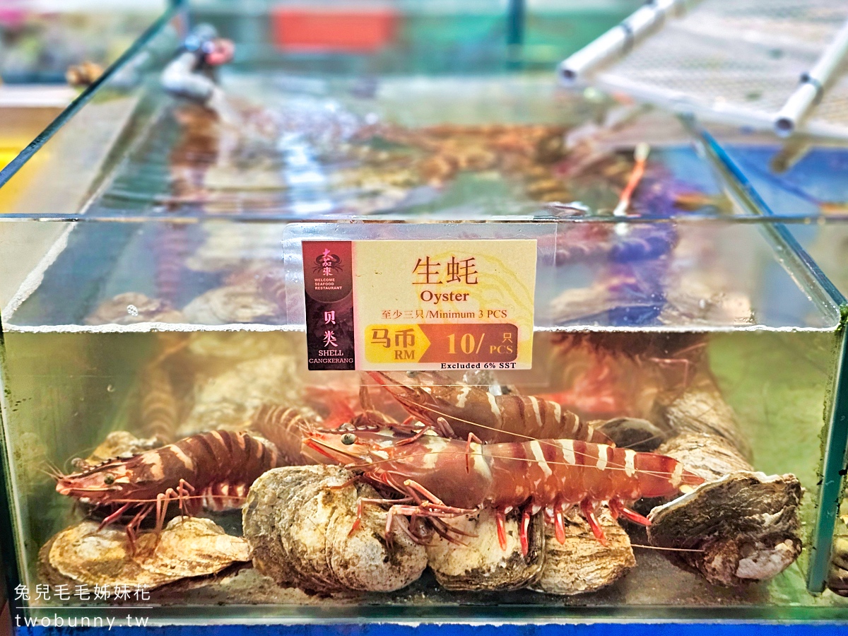 沙巴美食【大茄來海鮮餐廳】每天晚上席開百桌超狂海鮮餐廳,巨無霸老虎蝦必點 @兔兒毛毛姊妹花 沙巴美食【大茄來海鮮餐廳】每天晚上席開百桌超狂海鮮餐廳,巨無霸老虎蝦必點 @兔兒毛毛姊妹花