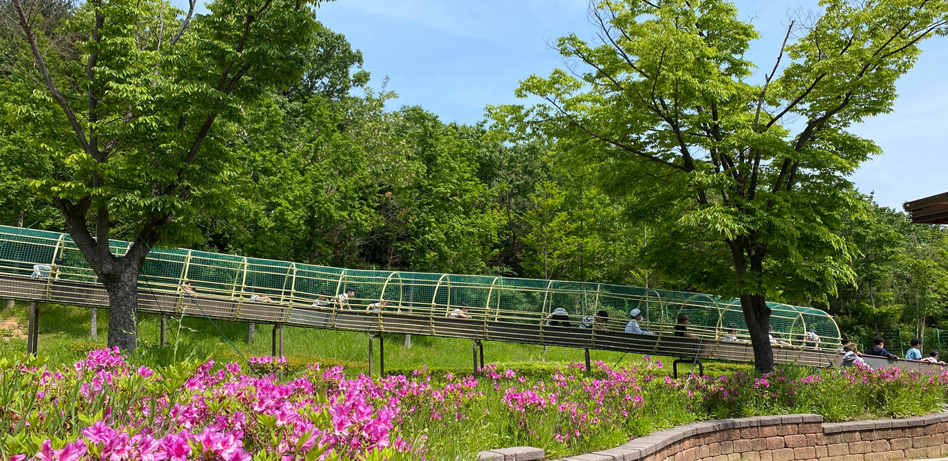 【金海伽倻主題公園】釜山親子景點推薦～22米高空腳踏車、飛天溜索太刺激！ @兔兒毛毛姊妹花