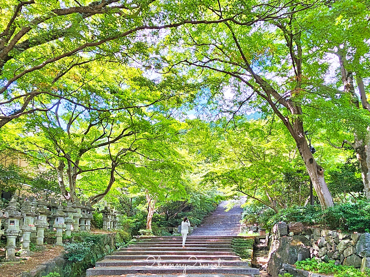 【大阪勝尾寺】達摩寺必訪攻略|交通、門票、賞楓、拍照景點+御守紀念品 @兔兒毛毛姊妹花 【大阪勝尾寺】達摩寺必訪攻略|交通、門票、賞楓、拍照景點+御守紀念品 @兔兒毛毛姊妹花
