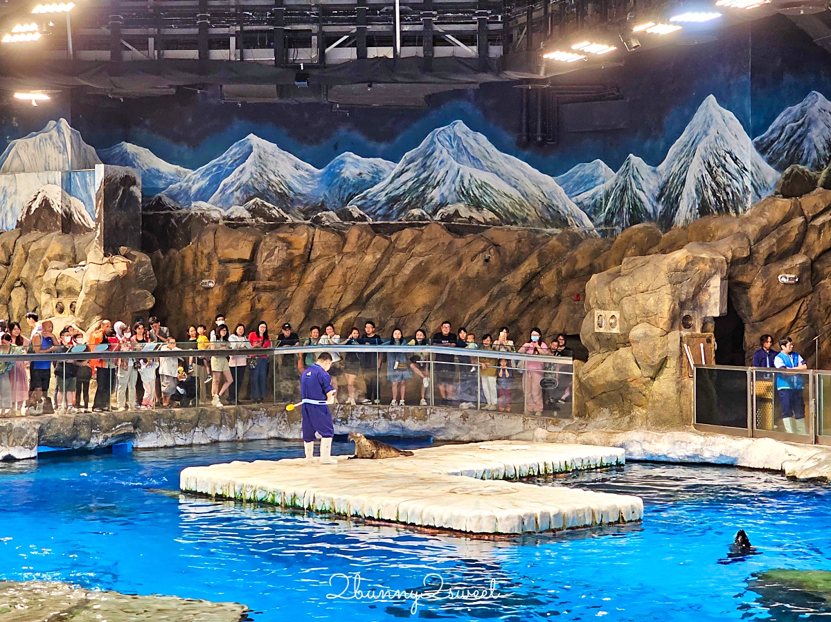 【香港海洋公園】香港親子景點推薦｜海洋列車、海景纜車、水族館、遊樂園一票玩到底 @兔兒毛毛姊妹花