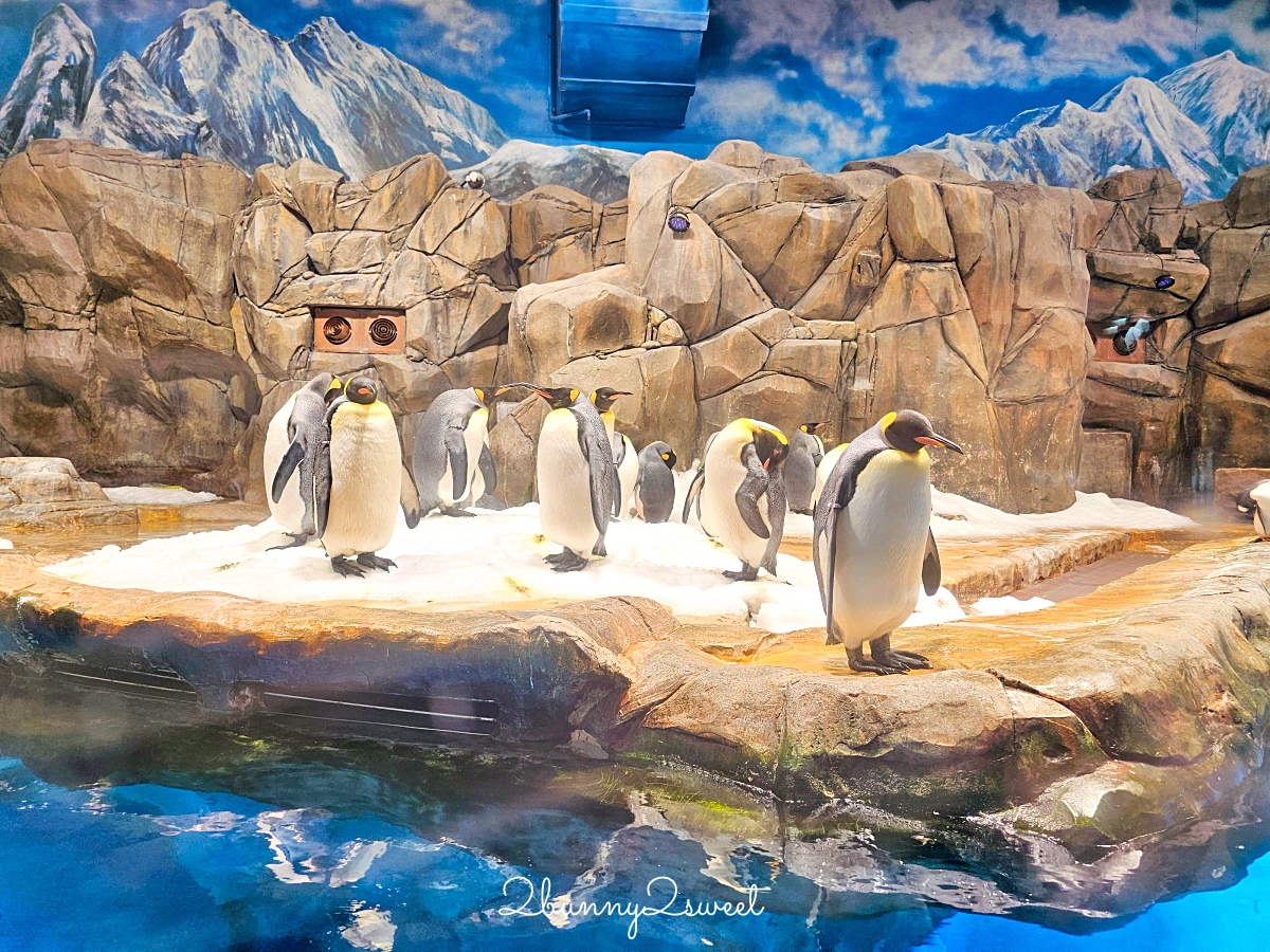 【香港海洋公園】香港親子景點推薦｜海洋列車、海景纜車、水族館、遊樂園一票玩到底 @兔兒毛毛姊妹花