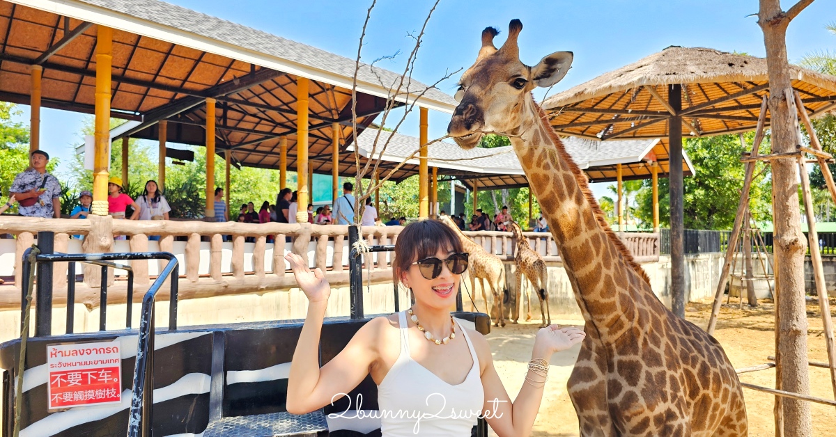 泰國大城景點「大城動物園」吉普車長頸鹿合照,還能牽獅子老虎的 Sriayuthaya Lion Park @兔兒毛毛姊妹花 泰國大城景點「大城動物園」吉普車長頸鹿合照,還能牽獅子老虎的 Sriayuthaya Lion Park @兔兒毛毛姊妹花