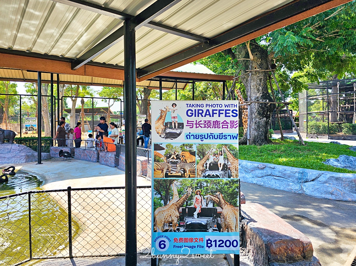 泰國大城景點「大城動物園」吉普車長頸鹿合照,還能牽獅子老虎的 Sriayuthaya Lion Park @兔兒毛毛姊妹花 泰國大城景點「大城動物園」吉普車長頸鹿合照,還能牽獅子老虎的 Sriayuthaya Lion Park @兔兒毛毛姊妹花