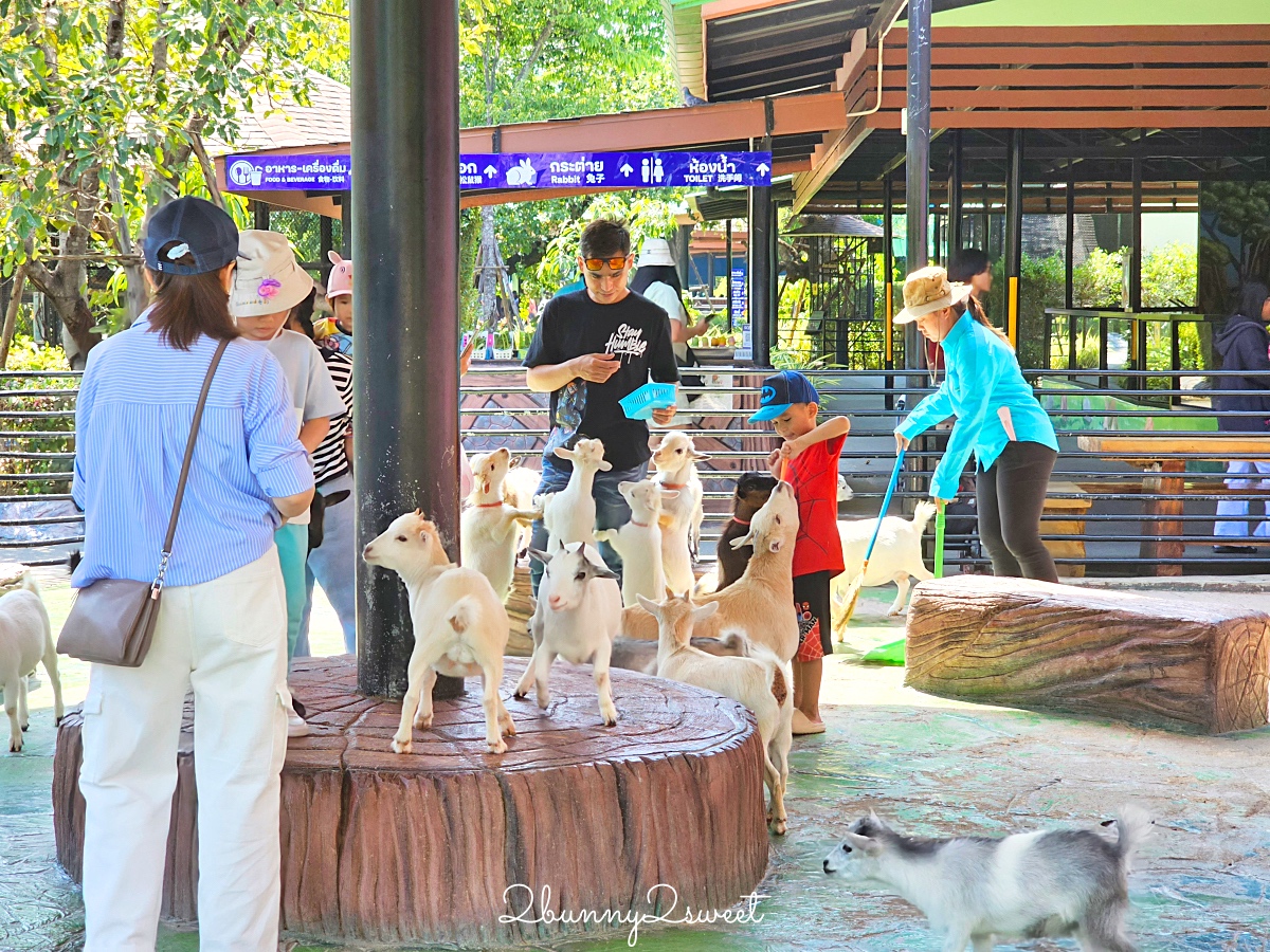 泰國大城景點「大城動物園」吉普車長頸鹿合照,還能牽獅子老虎的 Sriayuthaya Lion Park @兔兒毛毛姊妹花 泰國大城景點「大城動物園」吉普車長頸鹿合照,還能牽獅子老虎的 Sriayuthaya Lion Park @兔兒毛毛姊妹花