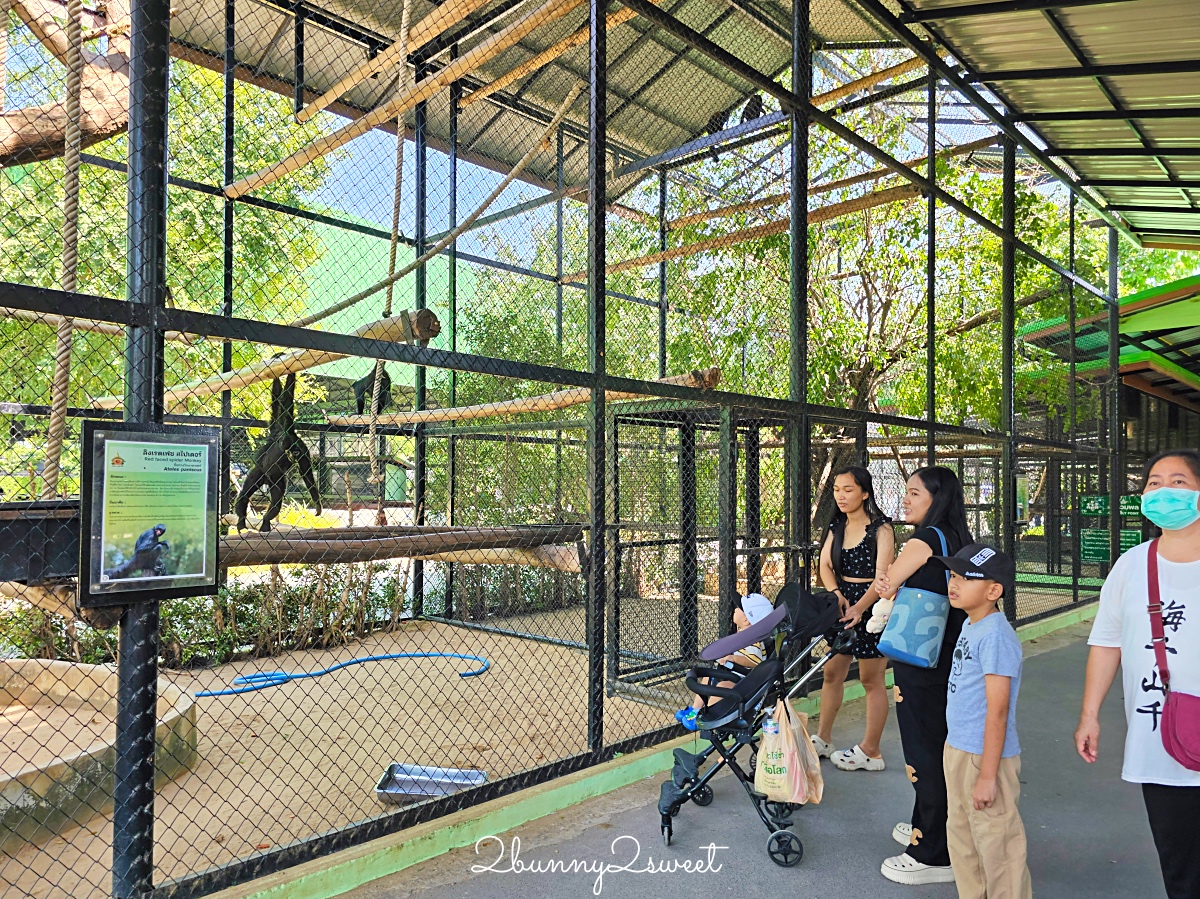 泰國大城景點「大城動物園」吉普車長頸鹿合照,還能牽獅子老虎的 Sriayuthaya Lion Park @兔兒毛毛姊妹花 泰國大城景點「大城動物園」吉普車長頸鹿合照,還能牽獅子老虎的 Sriayuthaya Lion Park @兔兒毛毛姊妹花