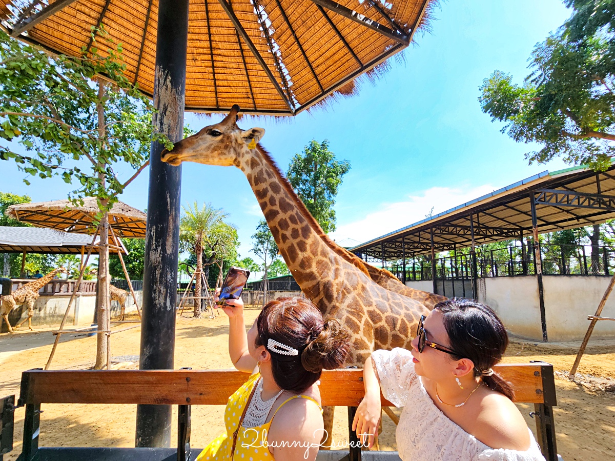 泰國大城景點「大城動物園」吉普車長頸鹿合照,還能牽獅子老虎的 Sriayuthaya Lion Park @兔兒毛毛姊妹花 泰國大城景點「大城動物園」吉普車長頸鹿合照,還能牽獅子老虎的 Sriayuthaya Lion Park @兔兒毛毛姊妹花