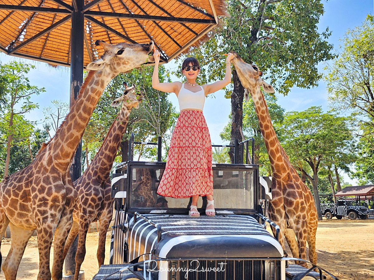 泰國大城景點「大城動物園」吉普車長頸鹿合照,還能牽獅子老虎的 Sriayuthaya Lion Park @兔兒毛毛姊妹花 泰國大城景點「大城動物園」吉普車長頸鹿合照,還能牽獅子老虎的 Sriayuthaya Lion Park @兔兒毛毛姊妹花