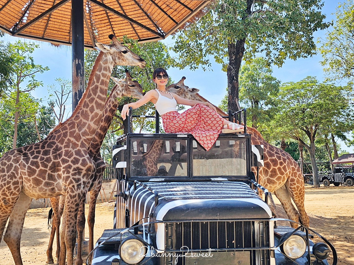 泰國大城景點「大城動物園」吉普車長頸鹿合照,還能牽獅子老虎的 Sriayuthaya Lion Park @兔兒毛毛姊妹花 泰國大城景點「大城動物園」吉普車長頸鹿合照,還能牽獅子老虎的 Sriayuthaya Lion Park @兔兒毛毛姊妹花