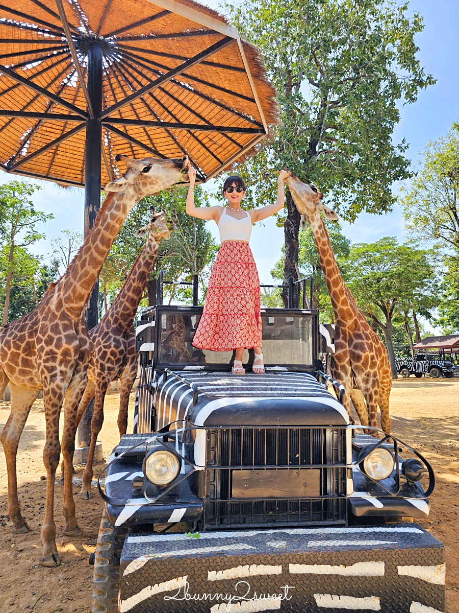 泰國大城景點「大城動物園」吉普車長頸鹿合照,還能牽獅子老虎的 Sriayuthaya Lion Park @兔兒毛毛姊妹花 泰國大城景點「大城動物園」吉普車長頸鹿合照,還能牽獅子老虎的 Sriayuthaya Lion Park @兔兒毛毛姊妹花
