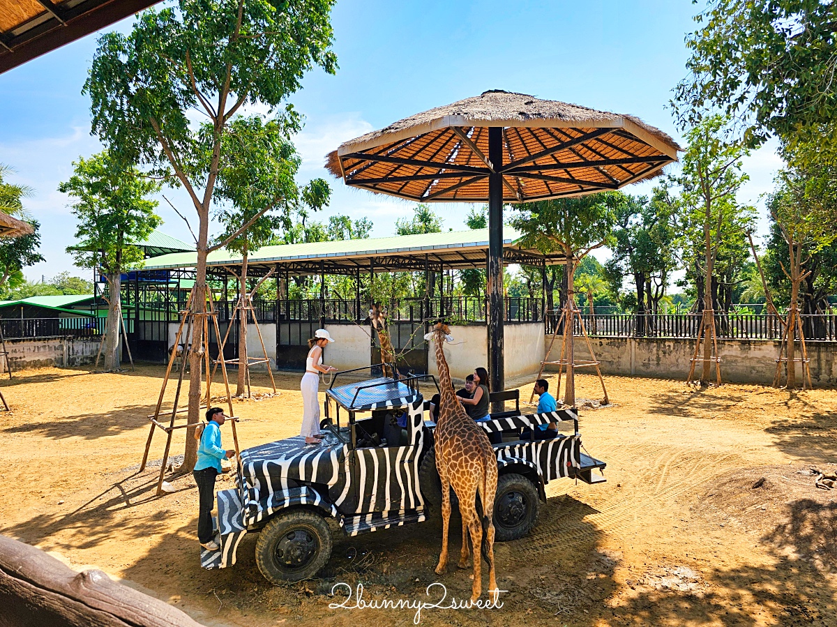 泰國大城景點「大城動物園」吉普車長頸鹿合照,還能牽獅子老虎的 Sriayuthaya Lion Park @兔兒毛毛姊妹花 泰國大城景點「大城動物園」吉普車長頸鹿合照,還能牽獅子老虎的 Sriayuthaya Lion Park @兔兒毛毛姊妹花